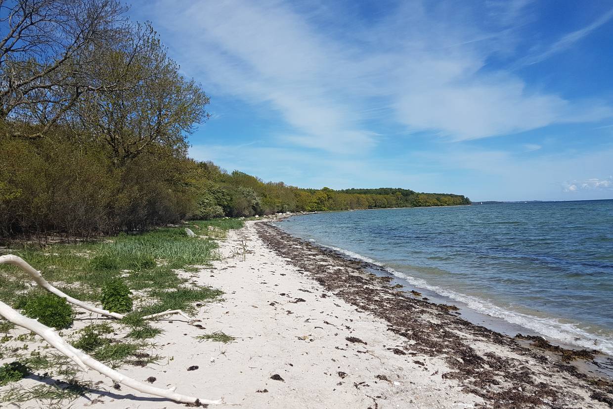 Foto von Stenodde Strand 