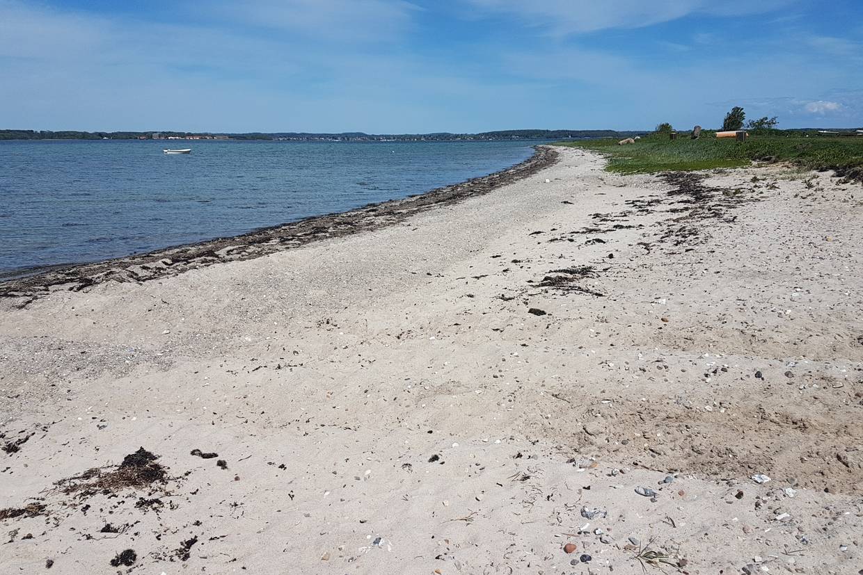 Foto von Stenodde Strand 