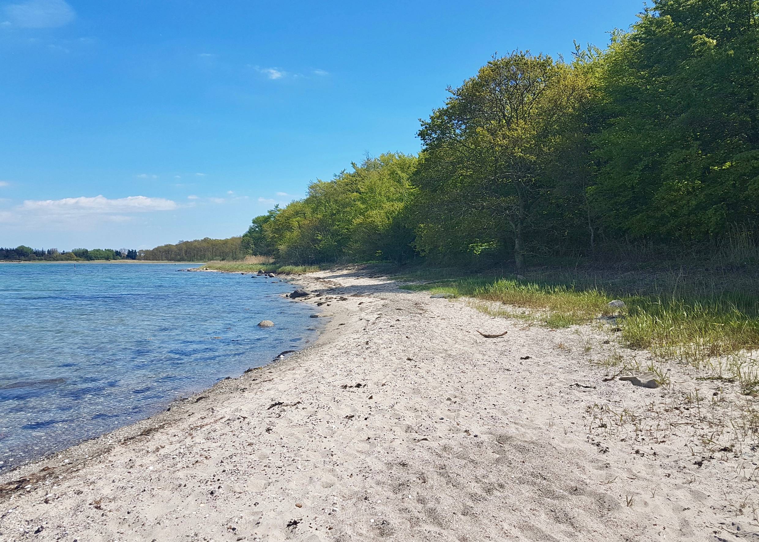 Schmaler Sandstrand vor einem Laubwald