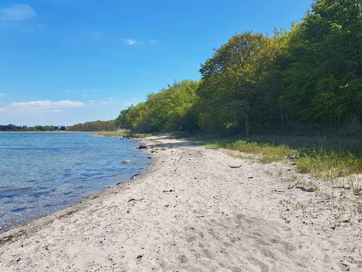 Schmaler Sandstrand vor einem Laubwald