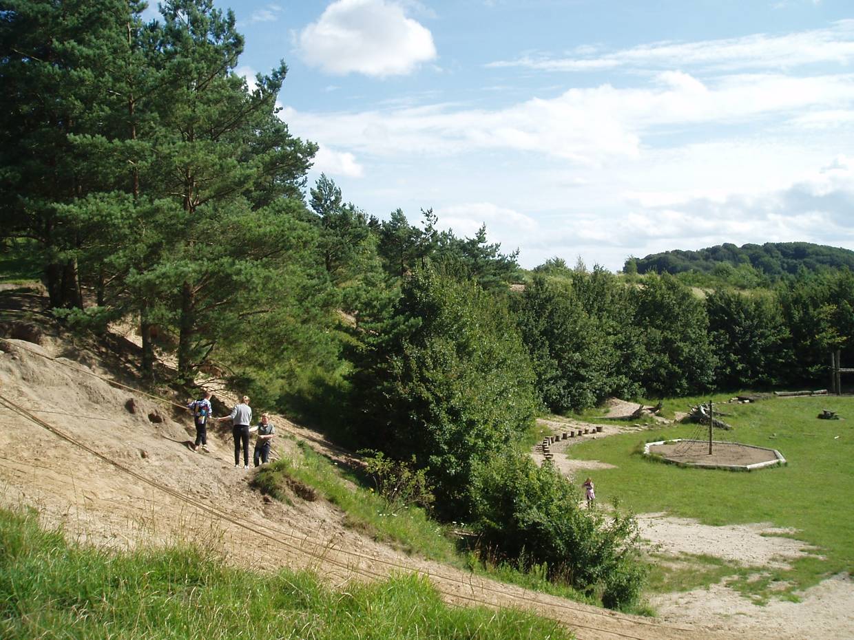 Kletterseil an einem Hang auf einem Waldspielplatz
