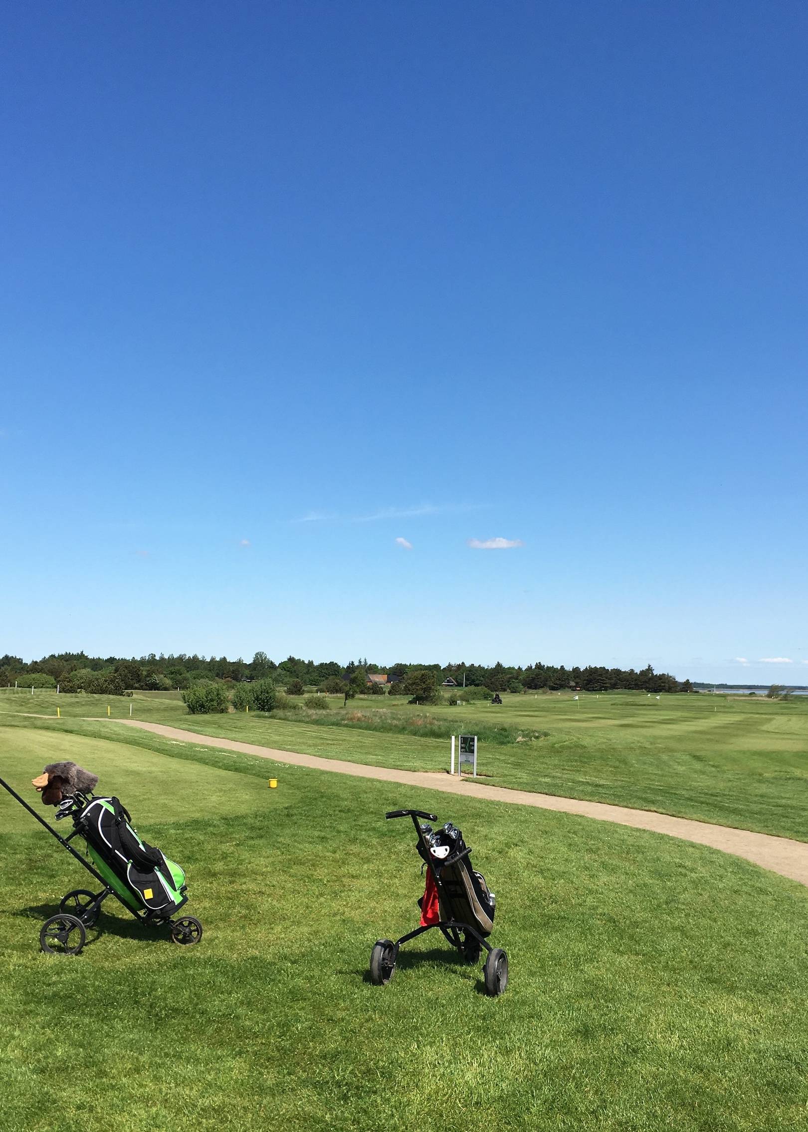 Zwei Golftrolleys auf einem Golfrasen