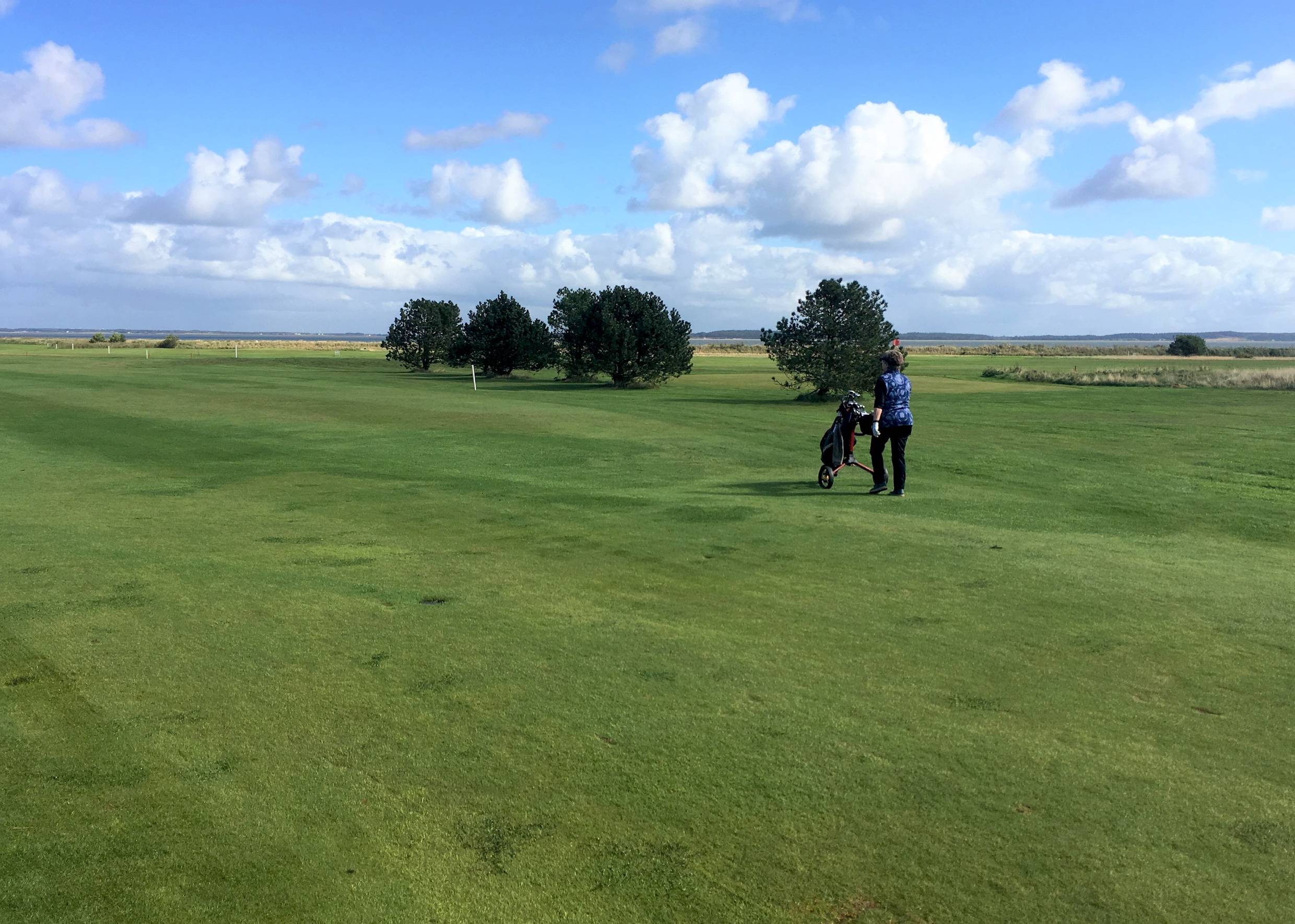 Frau mit Golftrolley auf einem Golfplatz mit Meerblick in Dänemark