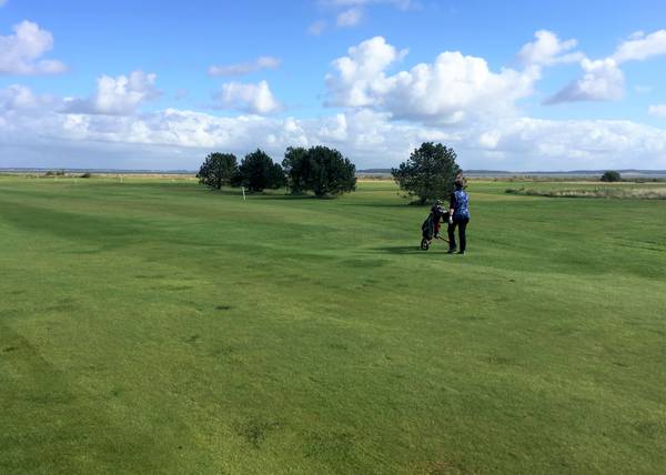 Golfrasen, im Hintergrund das Meer