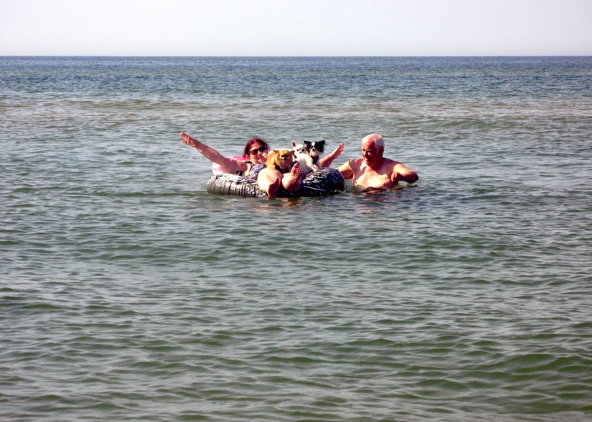 Schwimminsel, darauf eine Frau und kleine Hunde, daneben ein Mann im Wasser