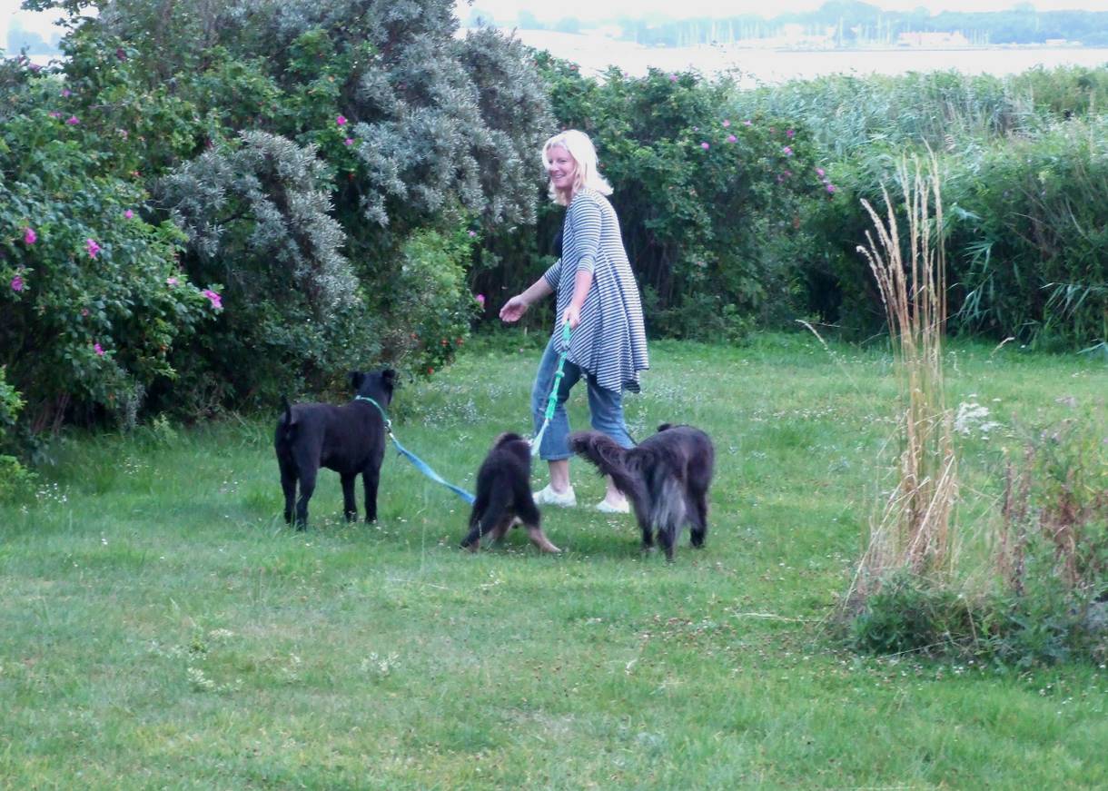 Frau im Garten mit drei schwarzen Hunden an der Leine
