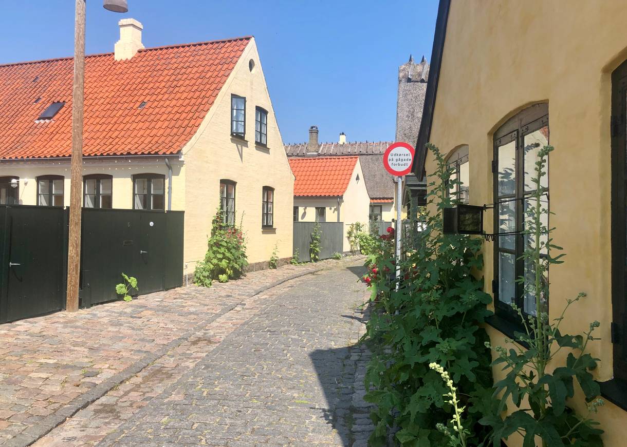 Schmale Kopfsteinpflastergasse mit gelben Häusern, davor Stockrosen