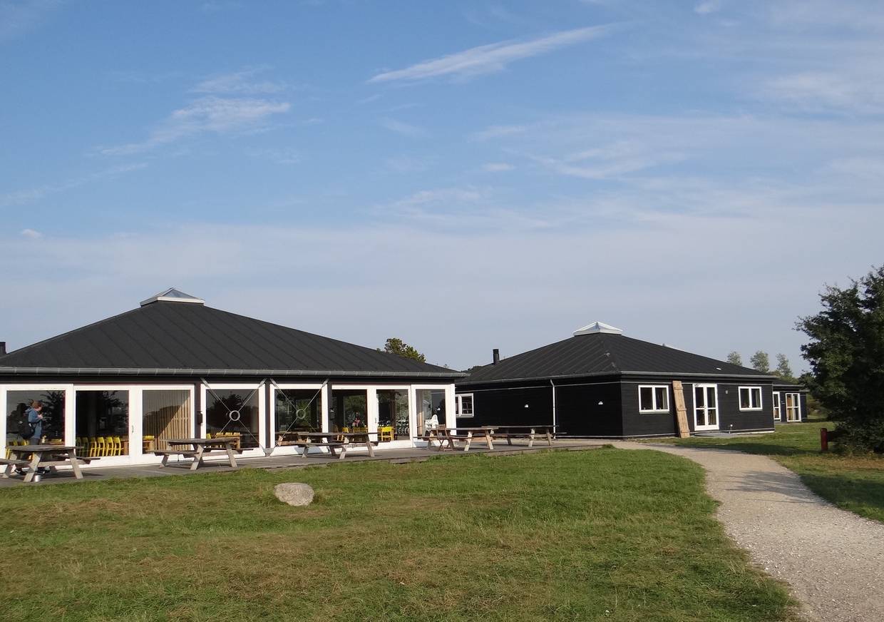 Schwarze Holzhäuser auf einer Wiese