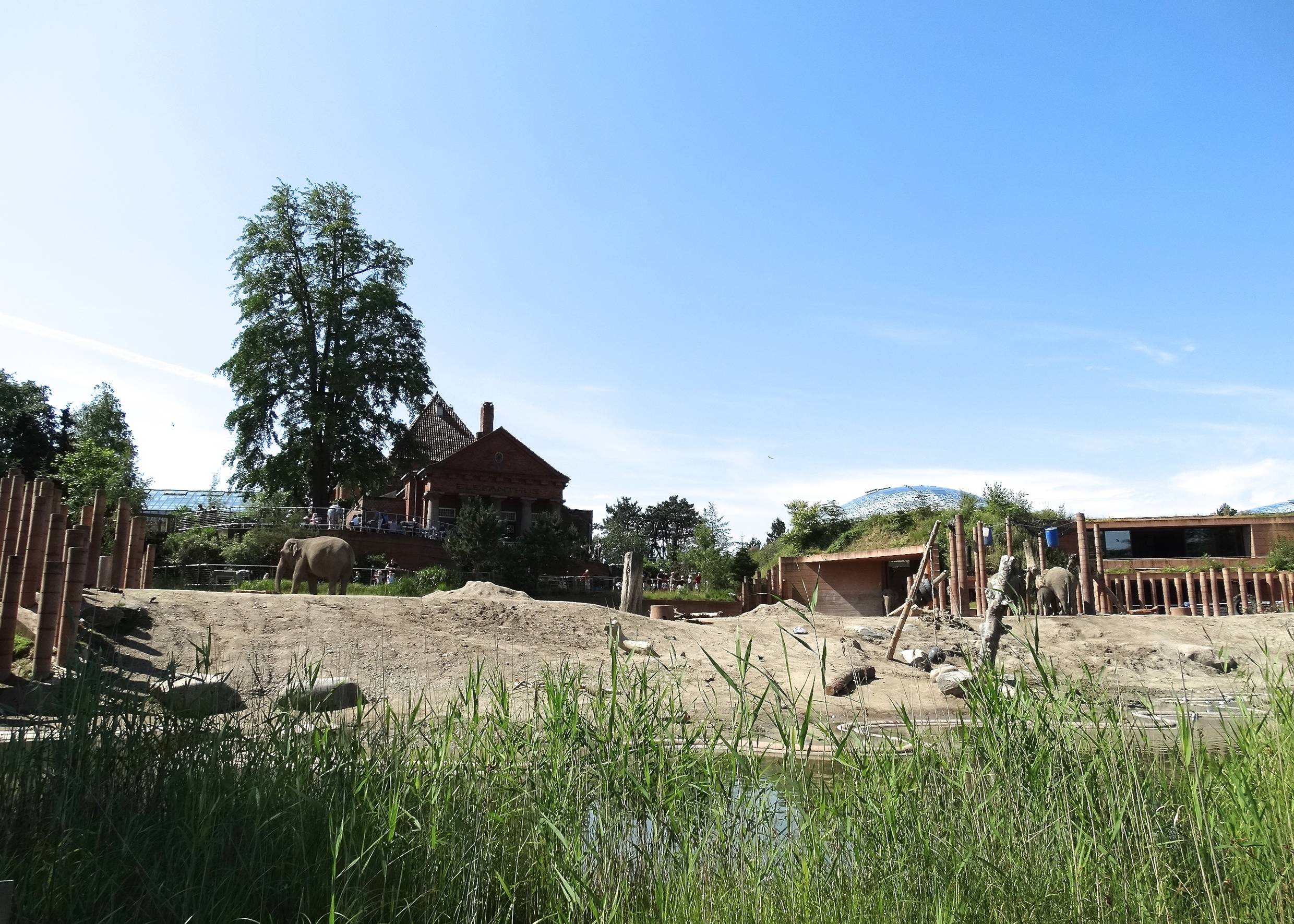 Aussicht auf das Elefantengehege im Zoo