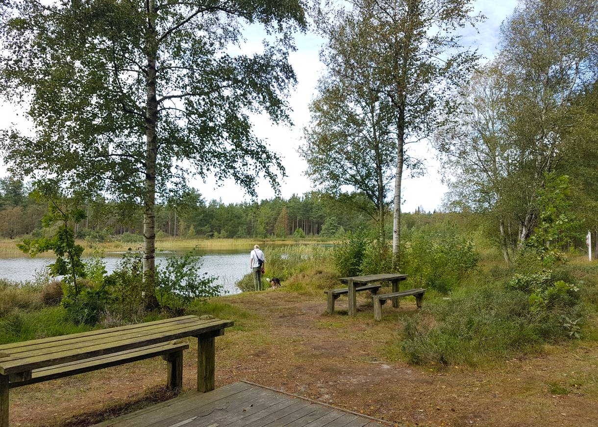 Picknickbänke an einem See, Frau mit Hund am Ufer