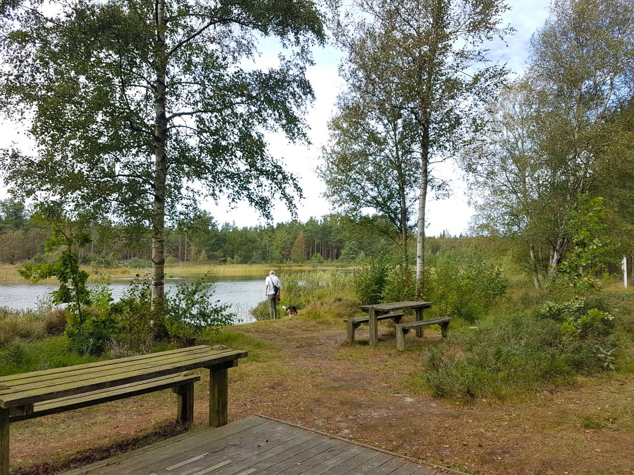 Picknickbänke an einem See, Frau mit Hund am Ufer