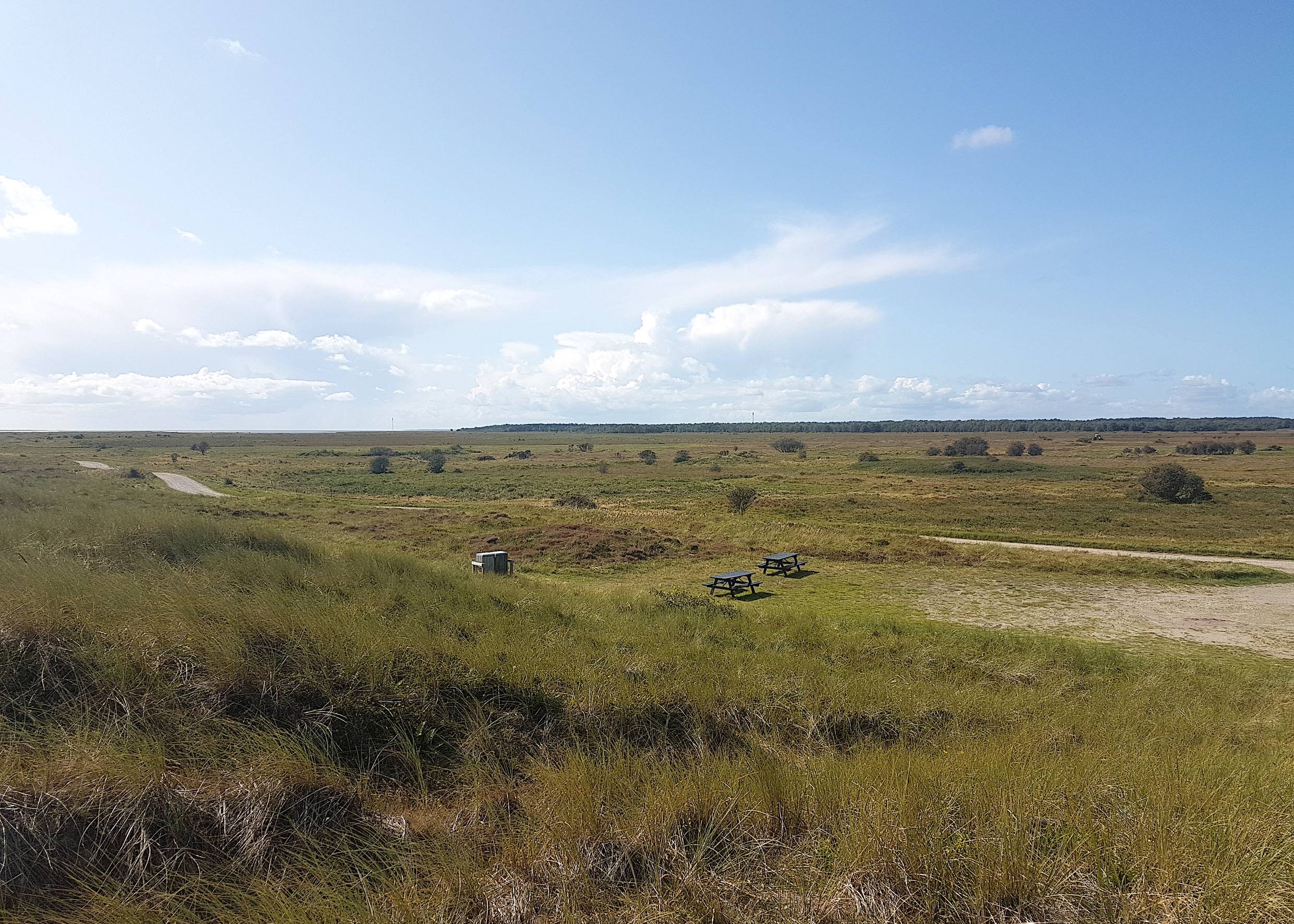 Aussicht von einer Düne über unbebaute, baumlose Heidewiesen