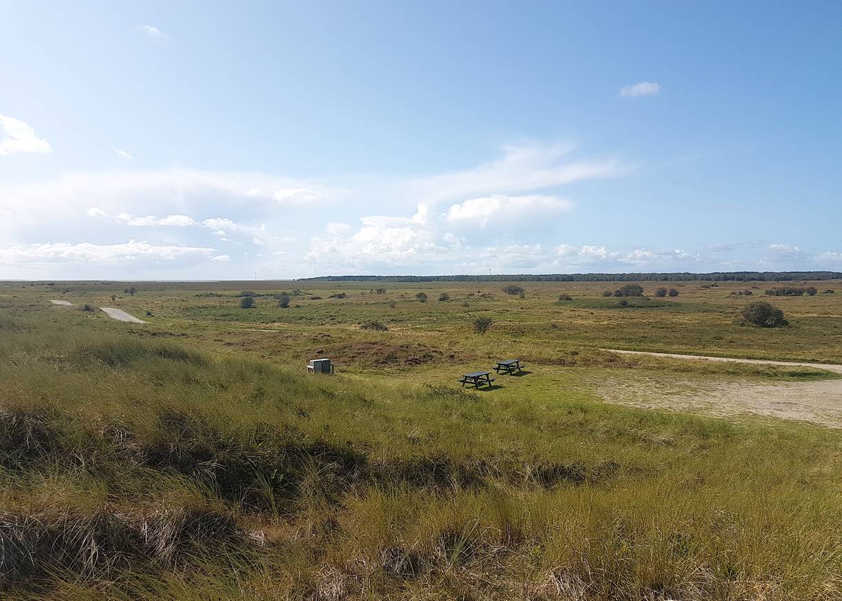 Aussicht von einer Düne über unbebaute, baumlose Heidewiesen