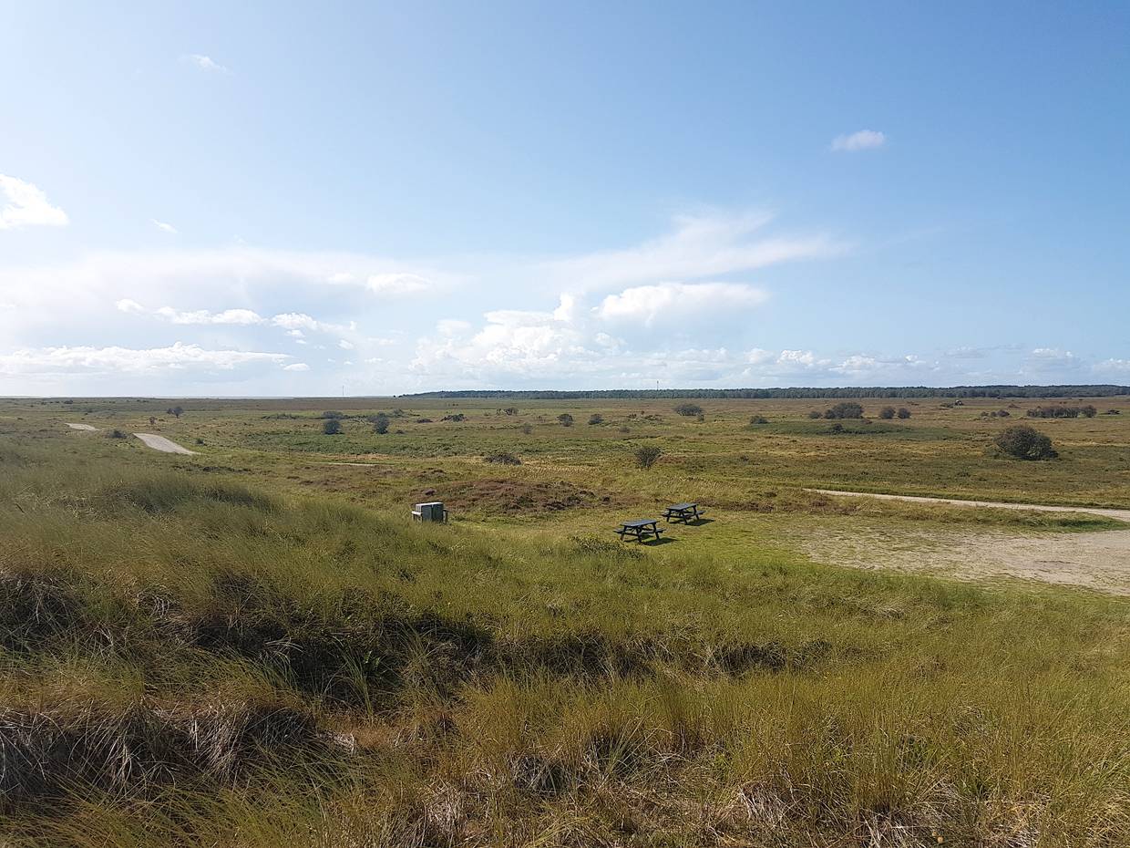Aussicht von einer Düne über unbebaute, baumlose Heidewiesen