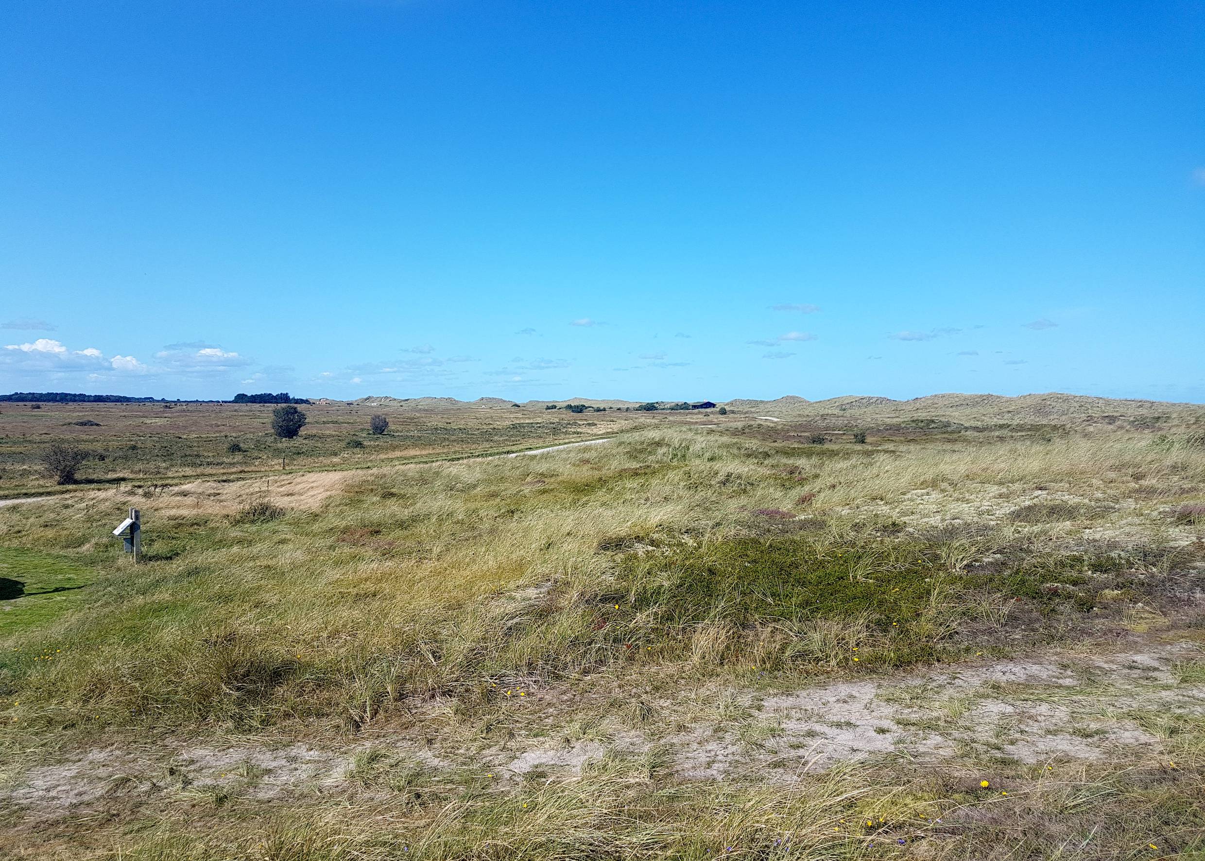Aussicht von einem Parkplatz in den Dünen auf eine Ebene mit Strandgras und Heide
