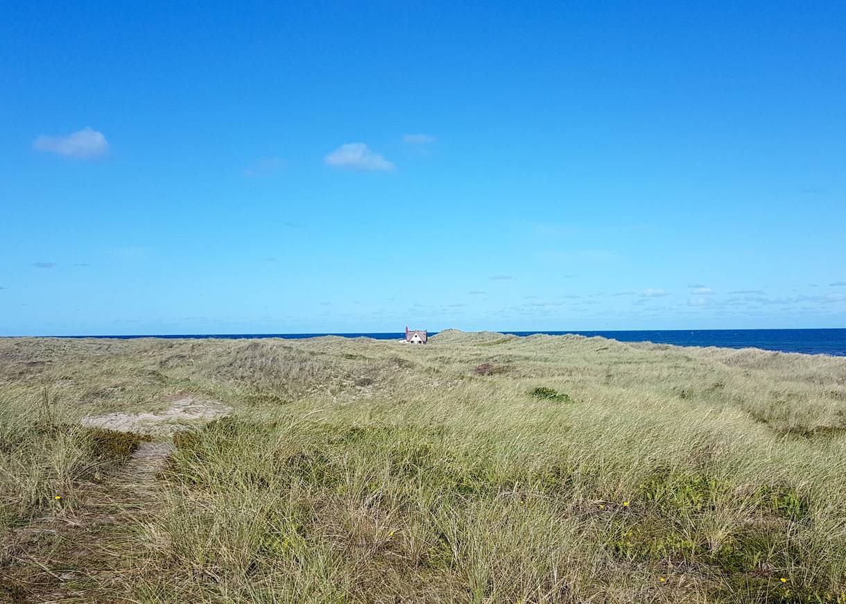 Dünenlandschaft vor dem blauen Meer, in der Ferne eine kleine Reetdachhütte