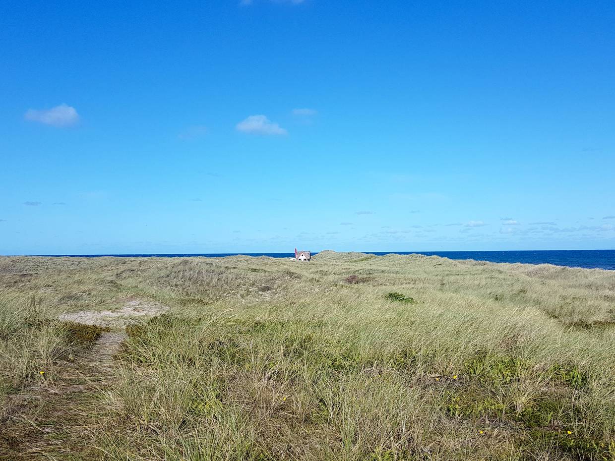 Dünenlandschaft vor dem blauen Meer, in der Ferne eine kleine Reetdachhütte