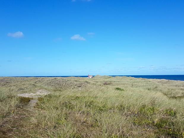 Alleinstehendes, kleines Reetgedecktes Haus in den Dünen, im Hintergrund sieht man das Meer