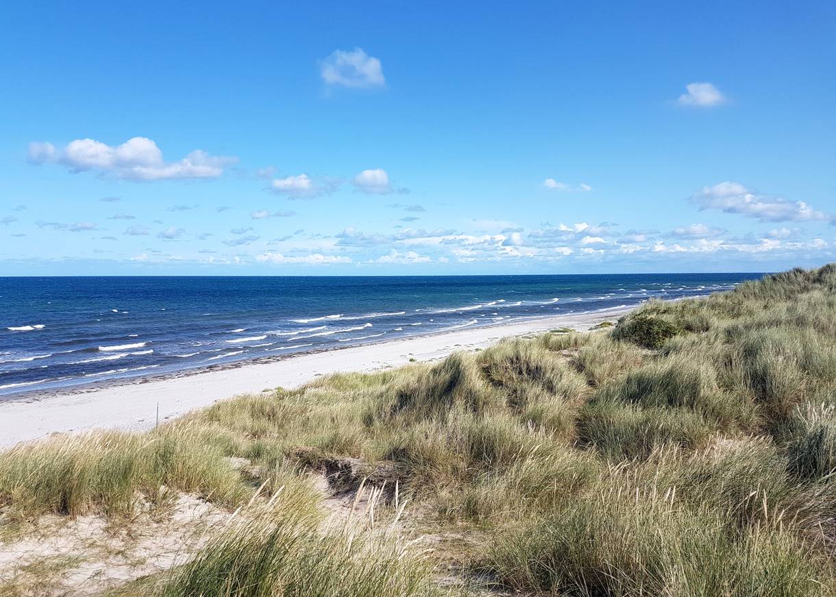 Blick von hohen Dünen auf die blaue Ostsee mit Schaumkronen auf den Wellen