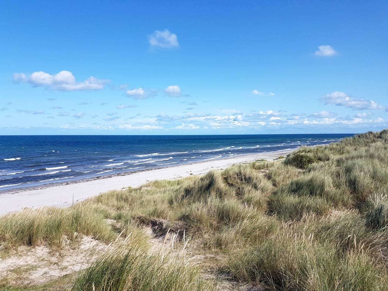 Blick von hohen Dünen auf die blaue Ostsee mit Schaumkronen auf den Wellen