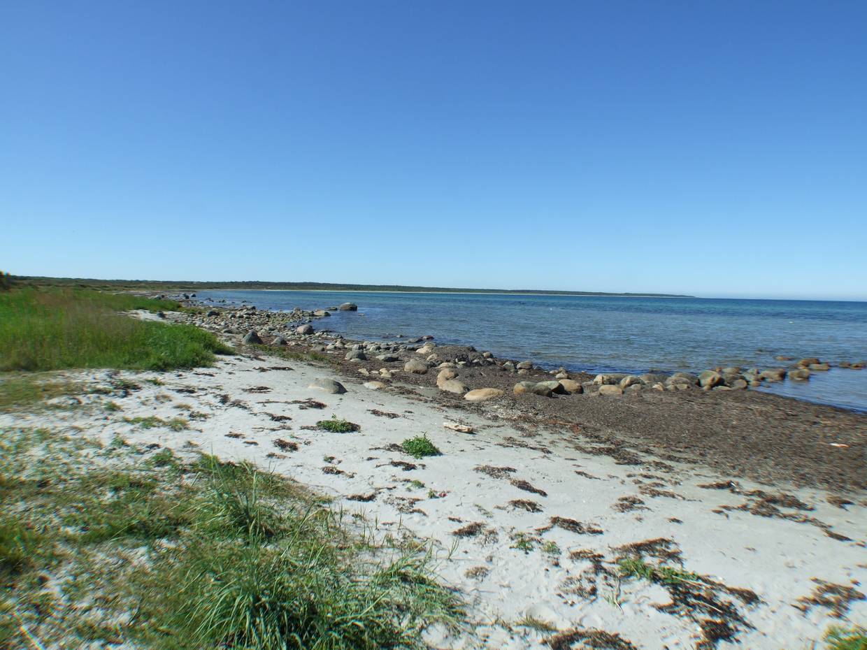 Schmaler Strand mit dicken Steinen