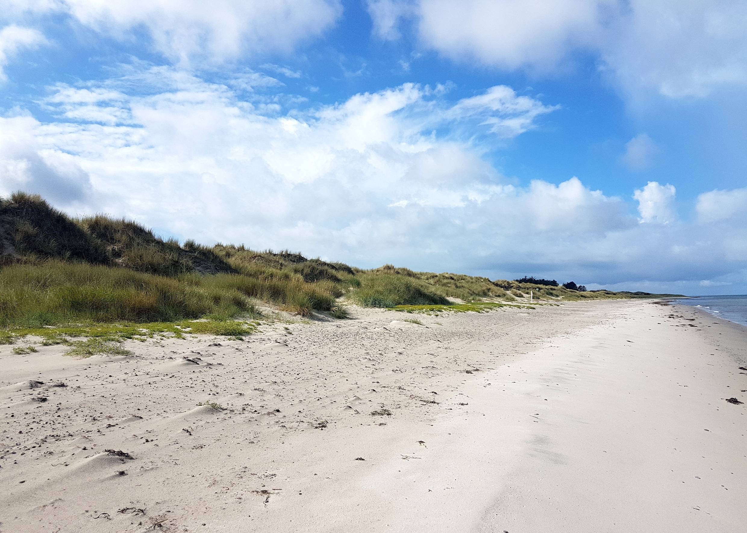 Sandstrand vor einer Dünenreihe