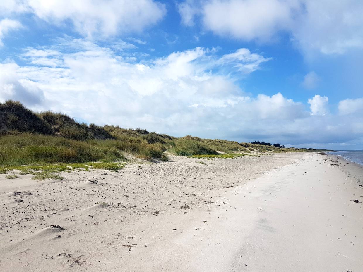 Sandstrand vor einer Dünenreihe