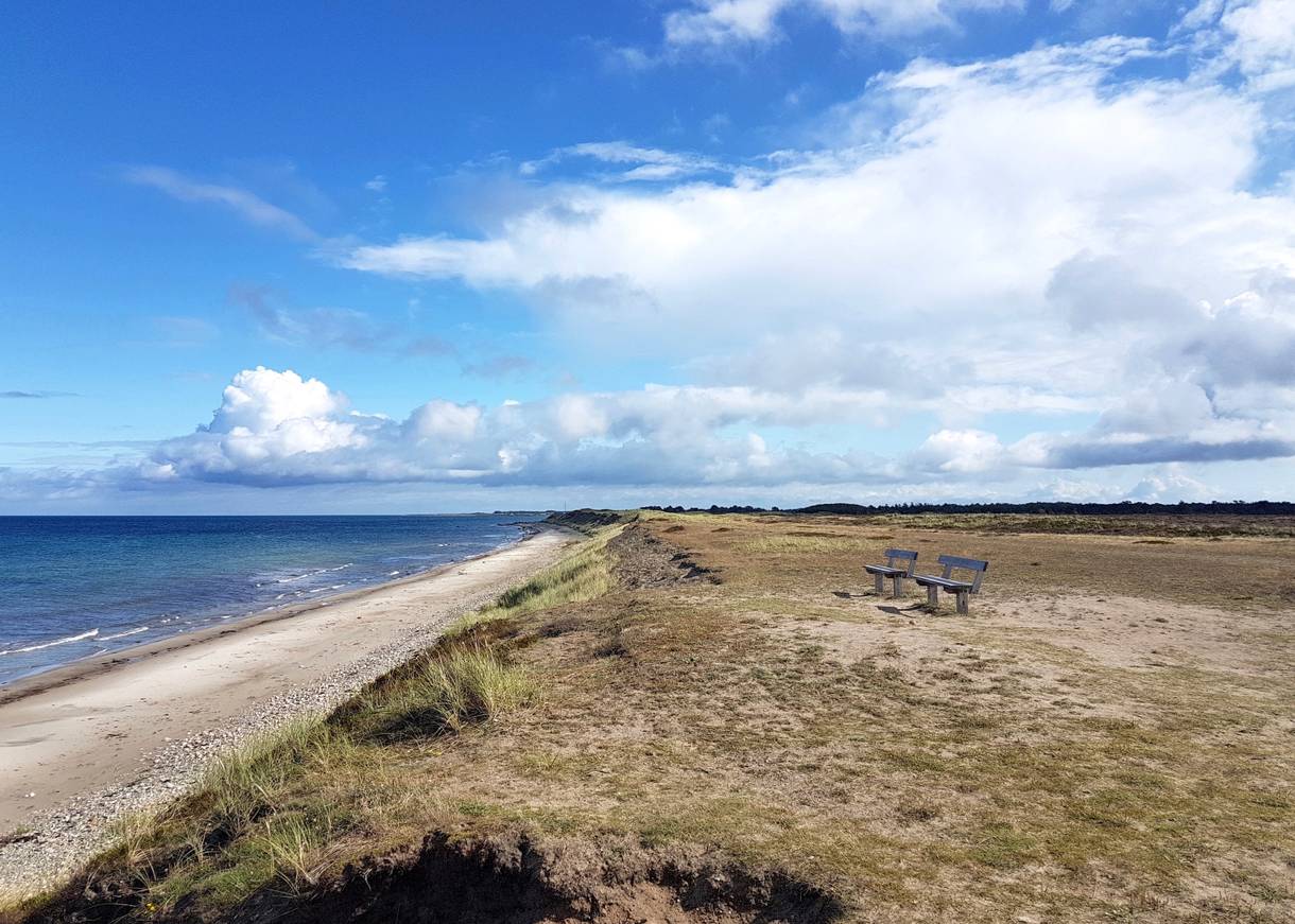 Bank auf einer Steilküste mit Meerblick