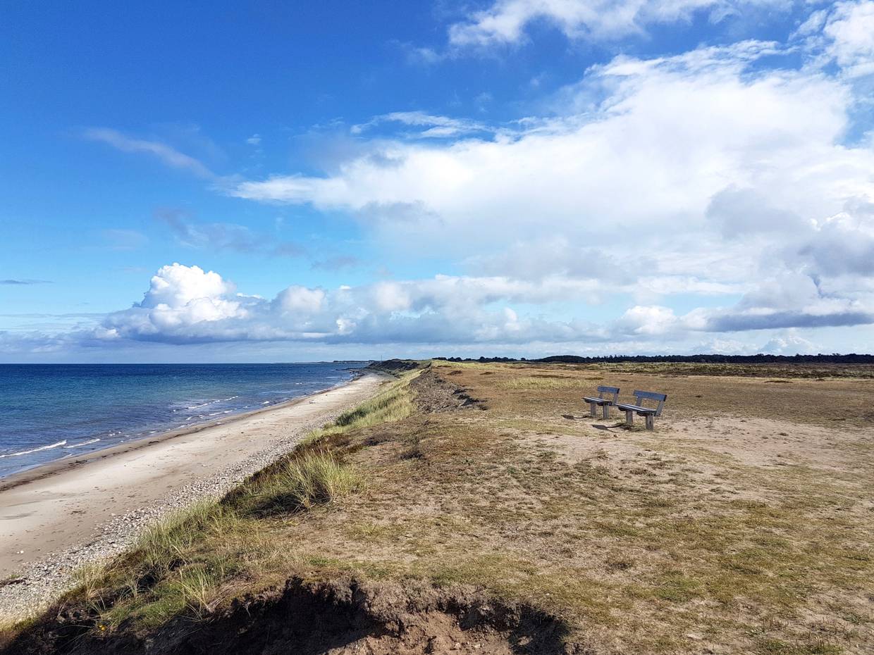 Bank auf einer Steilküste mit Meerblick