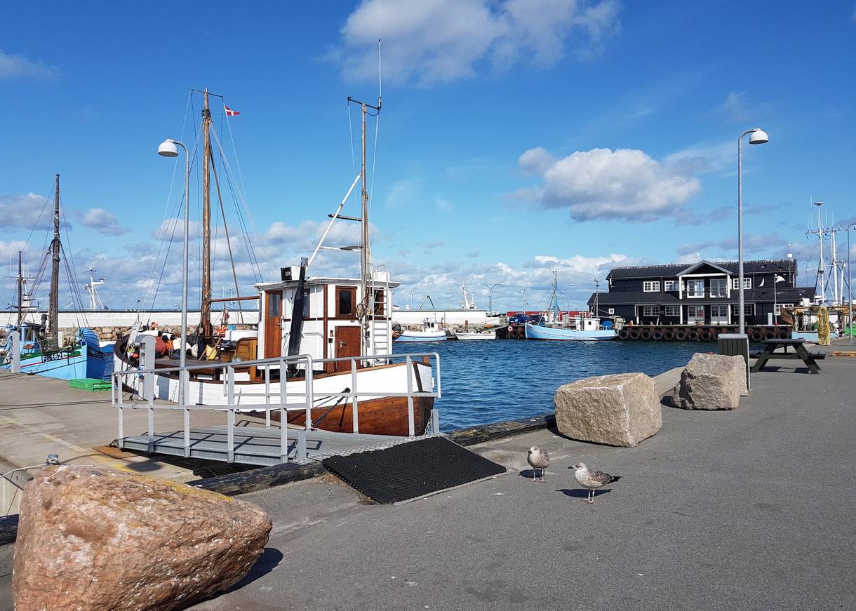 Hafenbecken mit Fischkuttern, im Vordergrund Picknickbänke und zwei Möwen