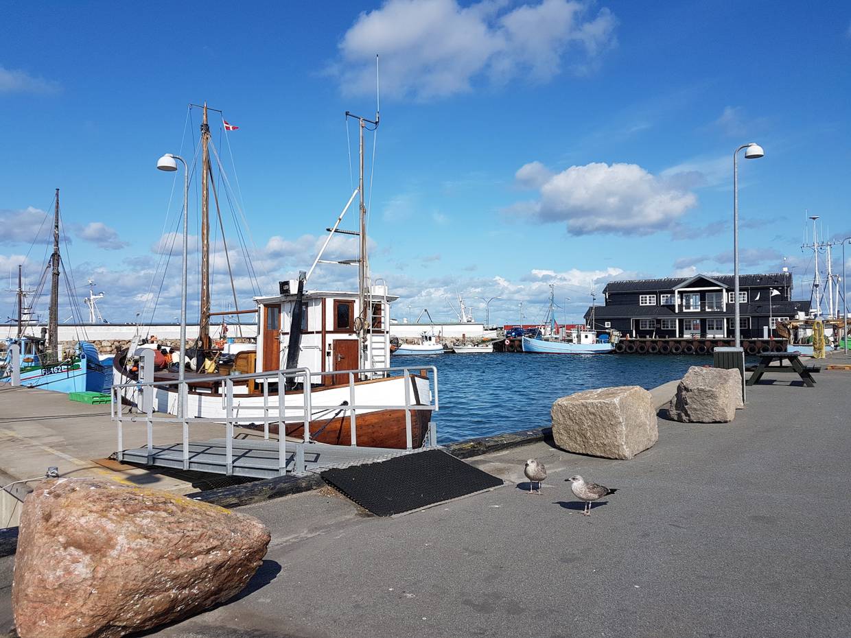 Hafenbecken mit Fischkuttern, im Vordergrund Picknickbänke und zwei Möwen