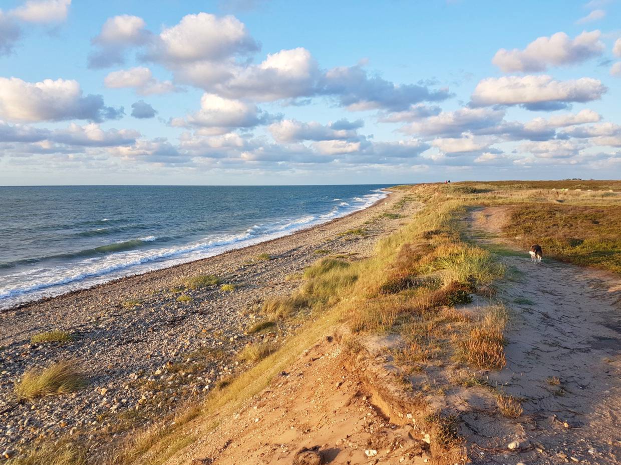 Flache Steilküste mit steinigem Strand