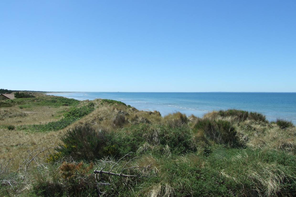 Foto von Vesterø Strand