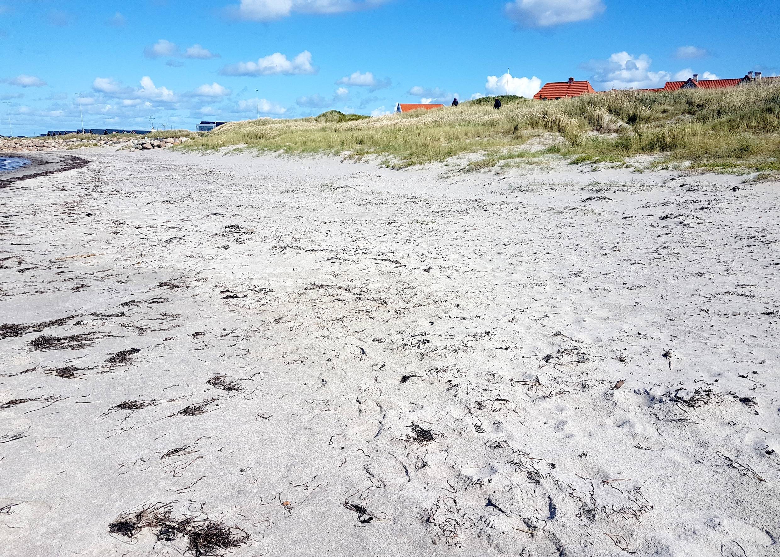 Sandstrand mit einer flachen Düne, dahinter Hausdächer