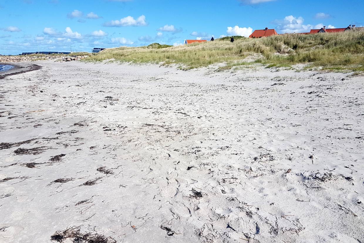 Foto von Vesterø Strand