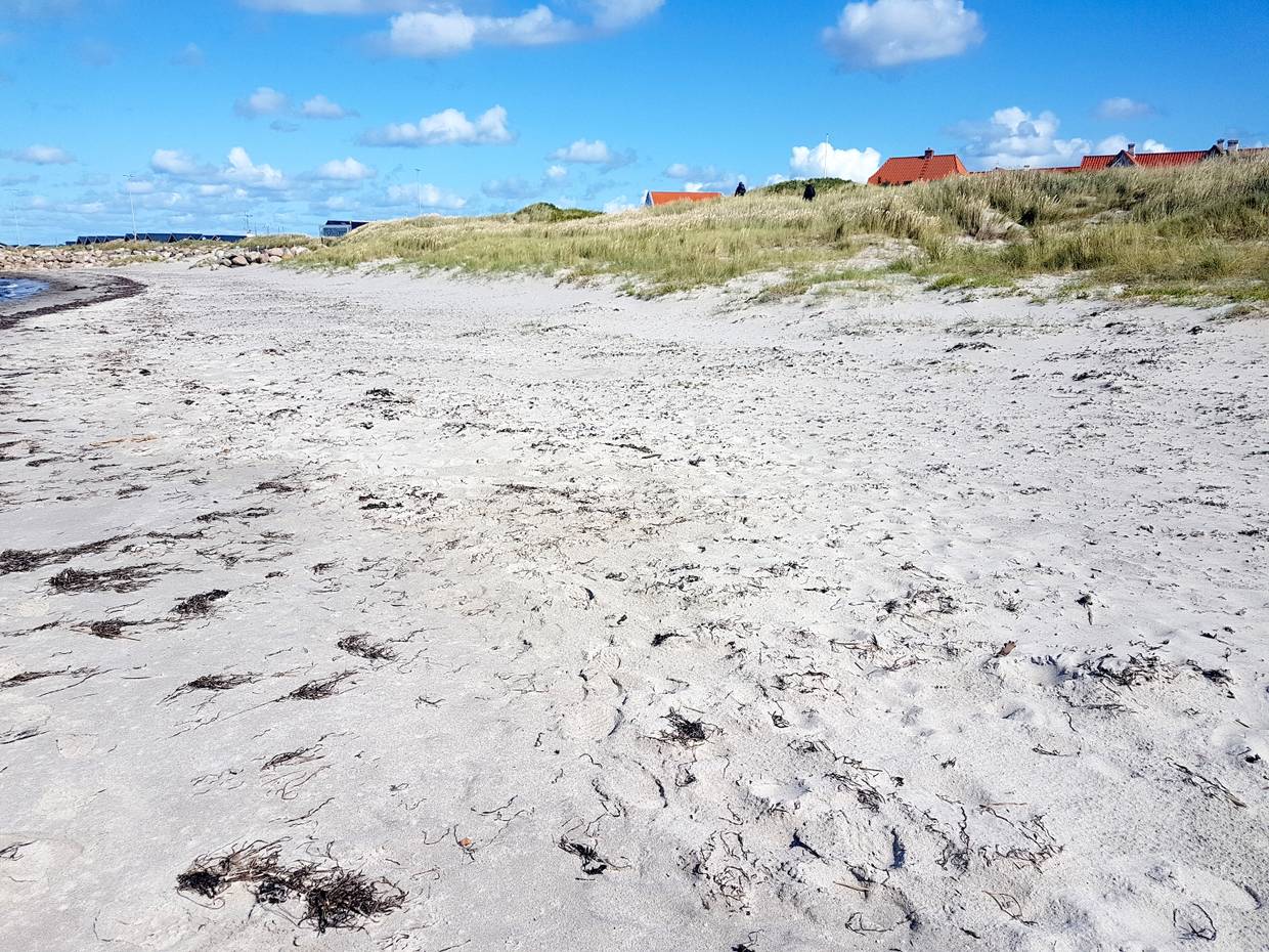 Sandstrand mit einer flachen Düne, dahinter Hausdächer