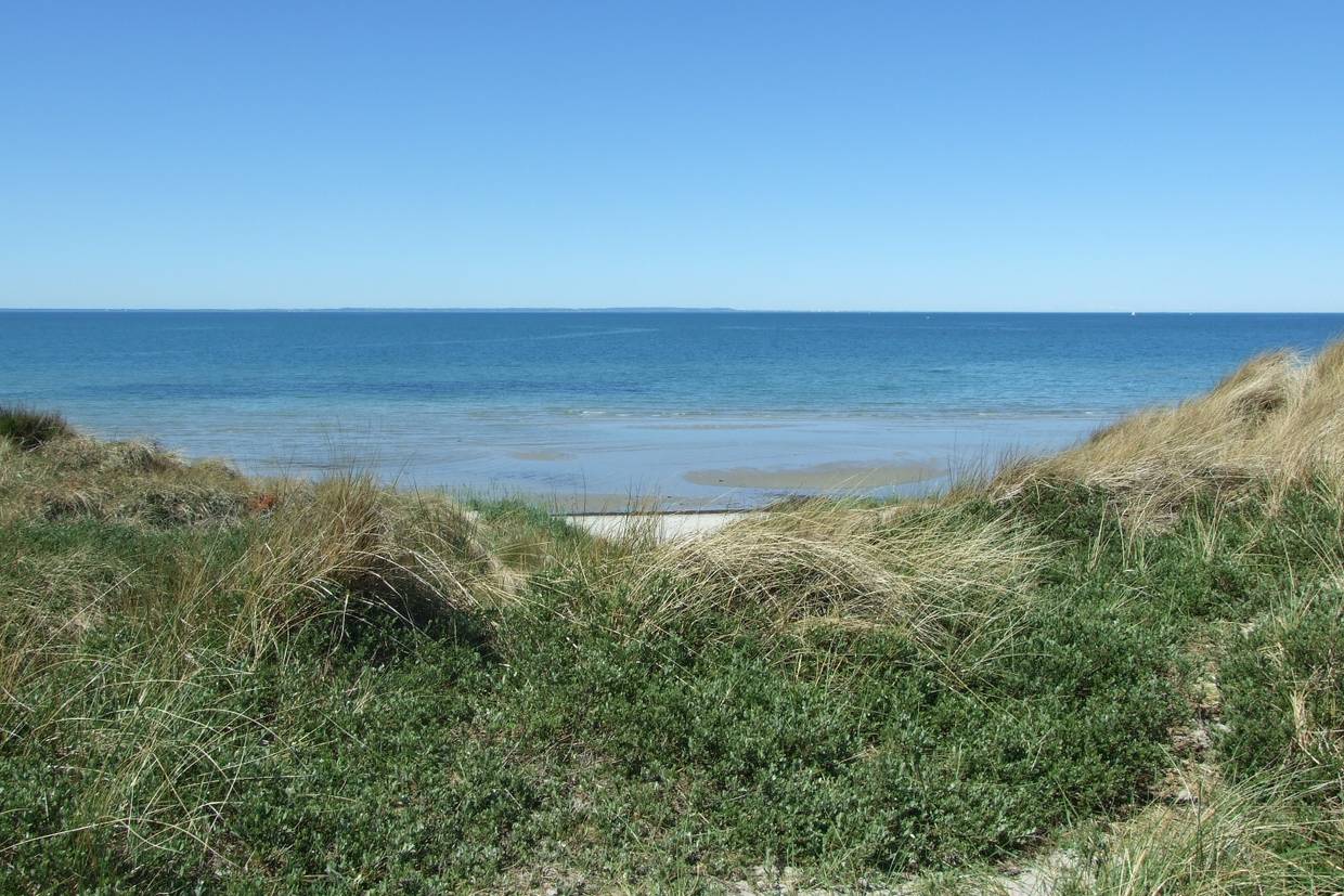 Foto von Vesterø Strand