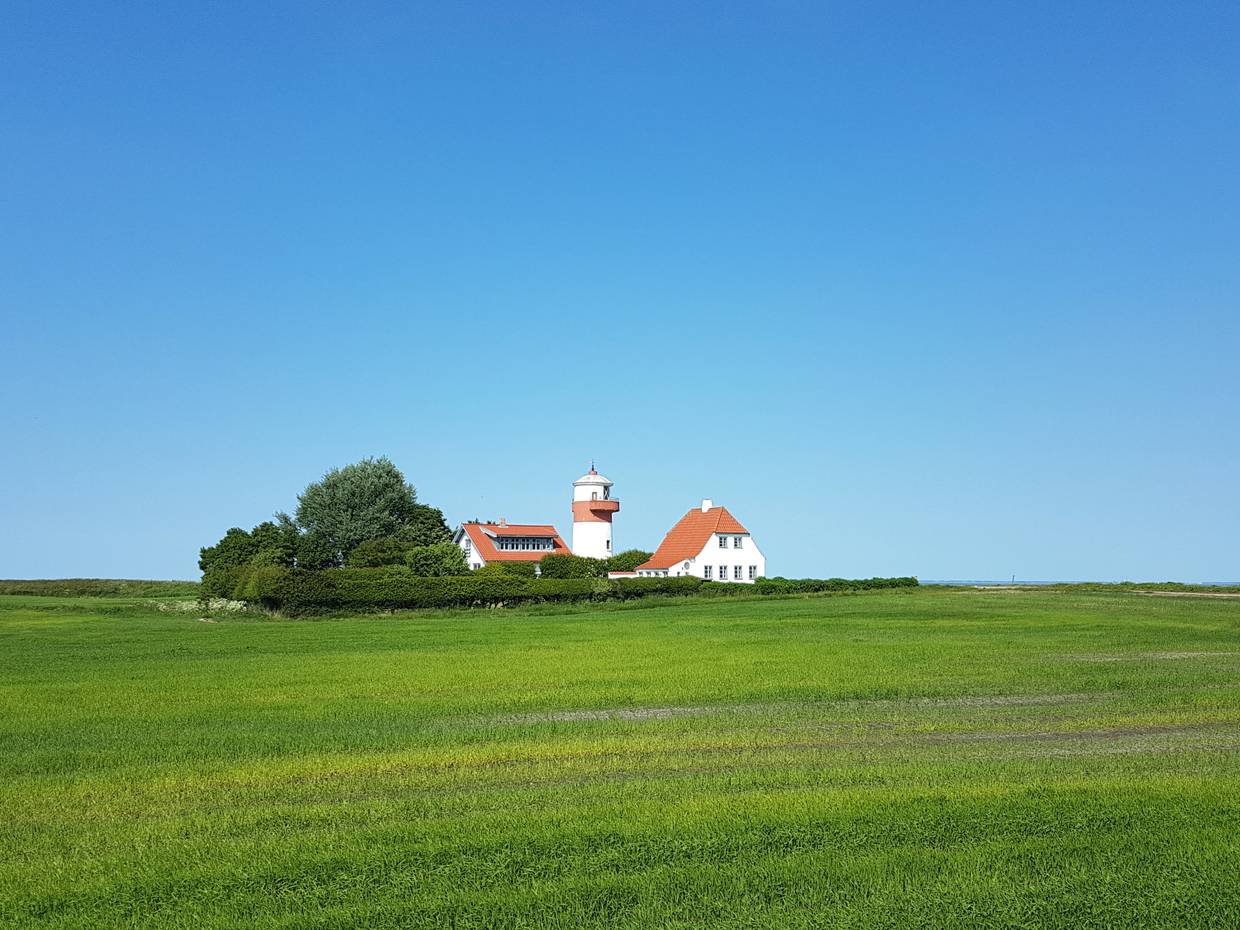 Weiß-roter Leuchtturm am Ende eines grünen Feldes