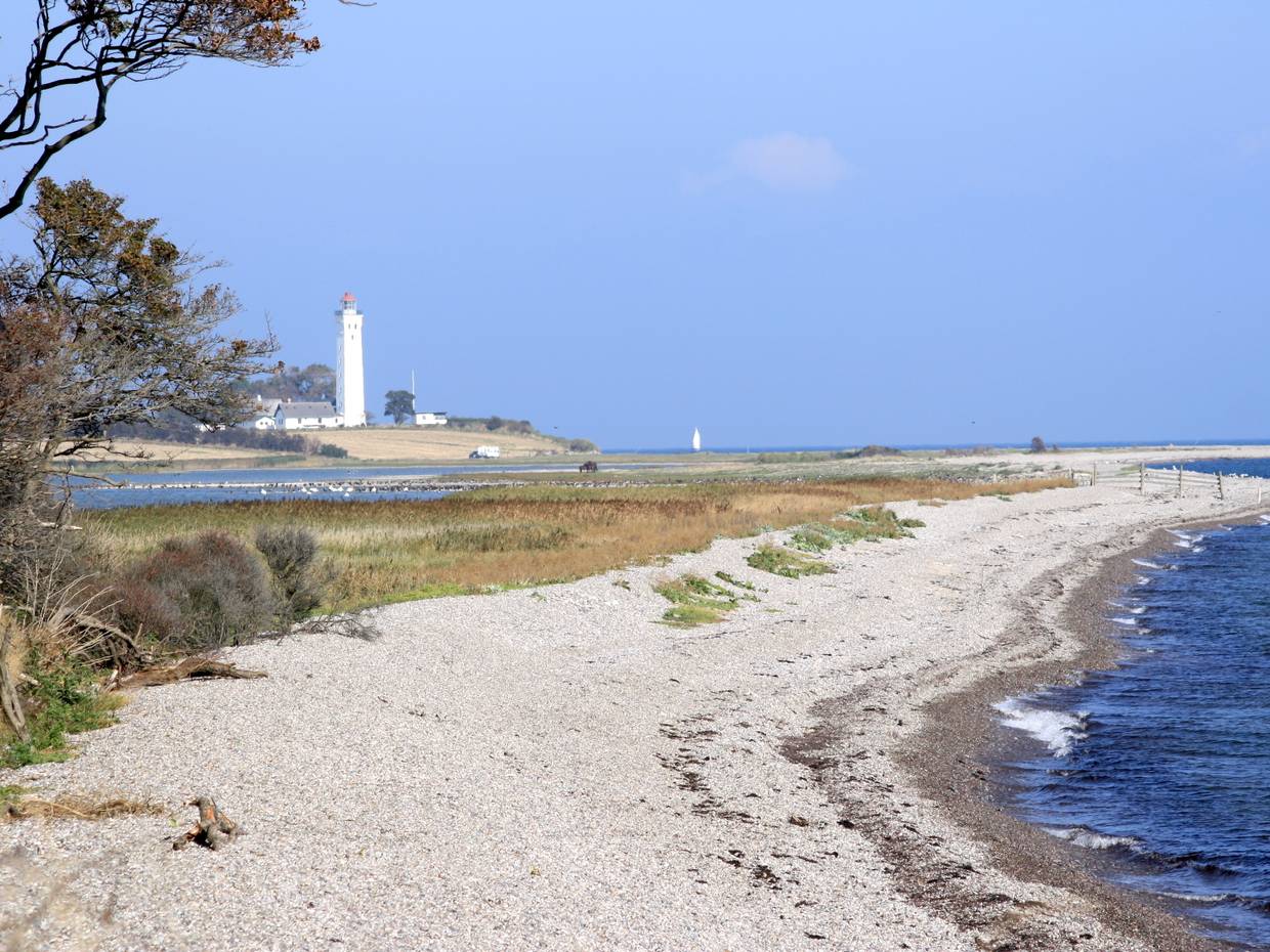 Weißer Leuchtturm hinter einer Lagune, davor steiniger Strand 