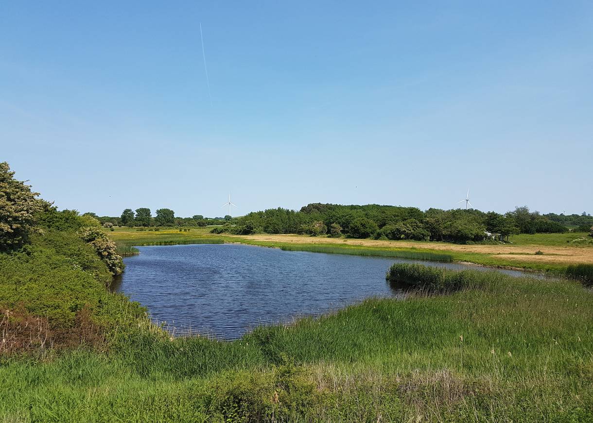 Kleine blaue Wasserfläche zwischen den Wiesen