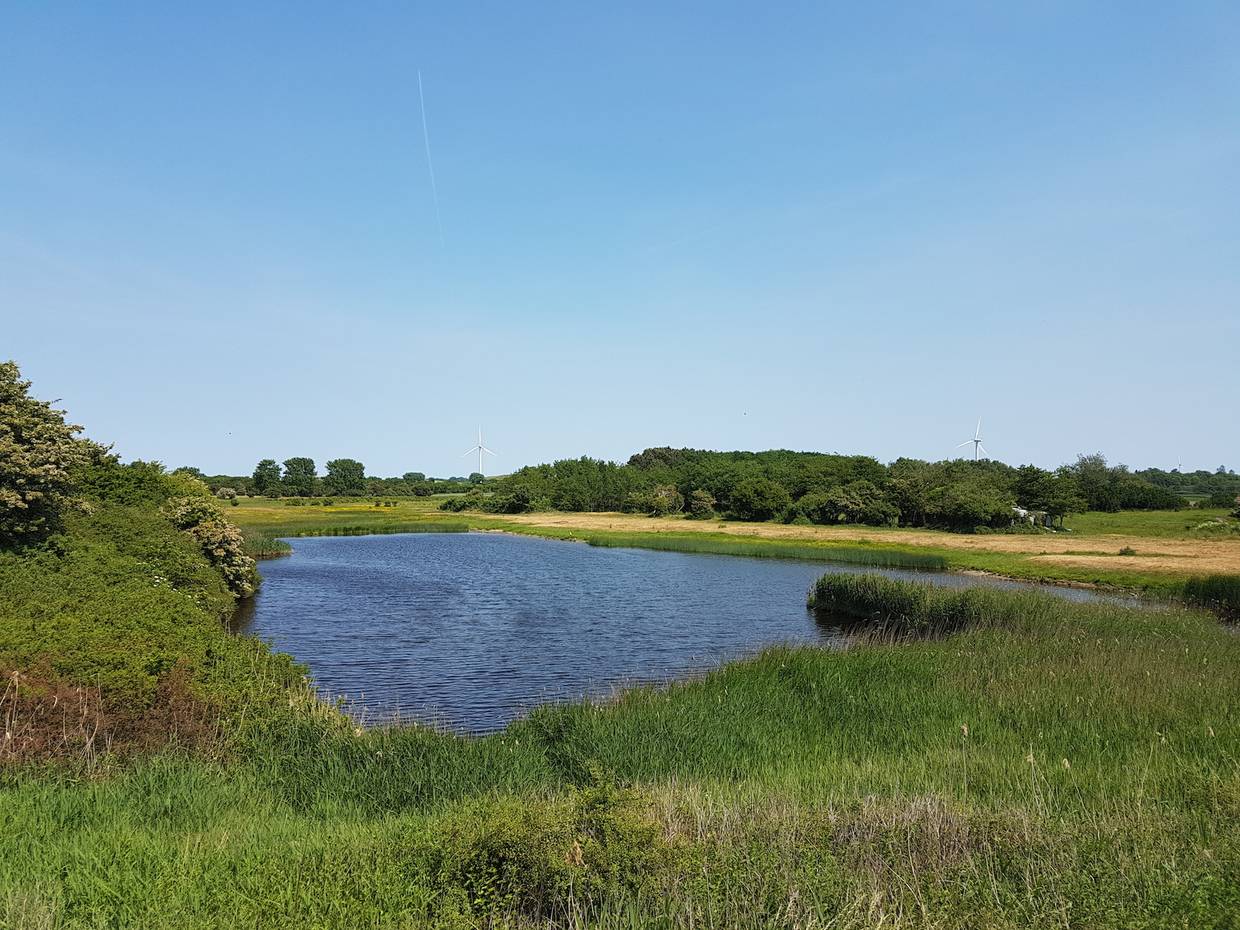 Kleine blaue Wasserfläche zwischen den Wiesen