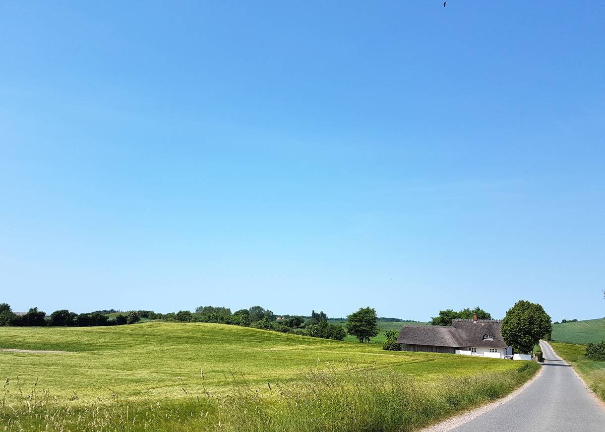 Wellige Landschaft mit Feldern, ein weißes Reetdachaus an der schmalen Straße