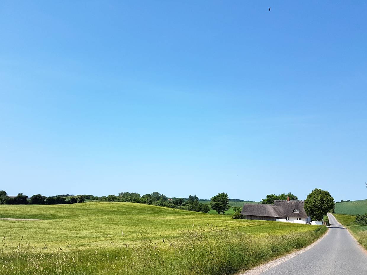 Wellige Landschaft mit Feldern, ein weißes Reetdachaus an der schmalen Straße