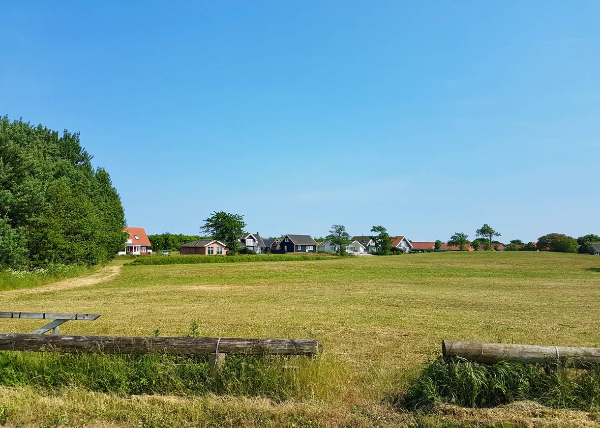 Ferienhäuser hinter einer Wiese am Waldrand