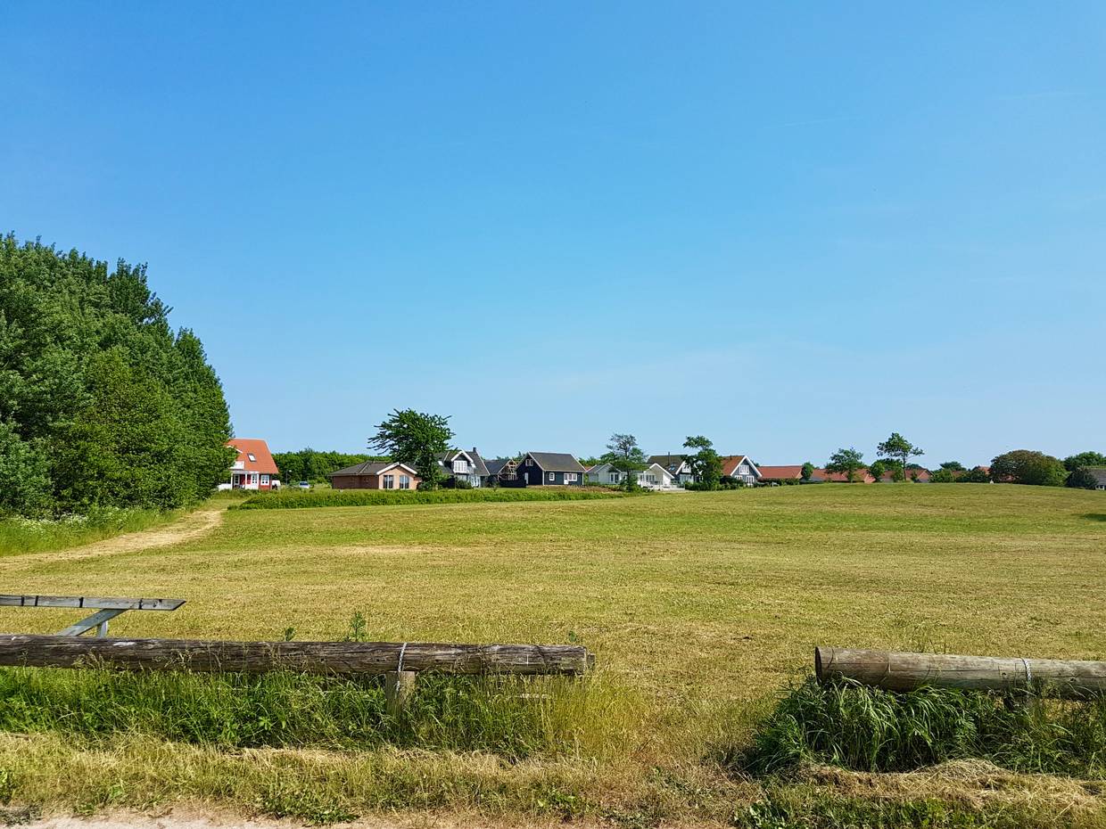 Ferienhäuser hinter einer Wiese am Waldrand