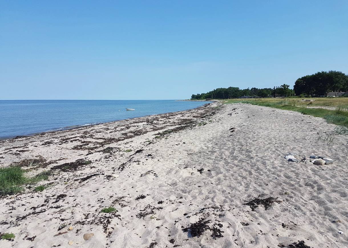 Blick über einen flachen, naturbelassenen Strand