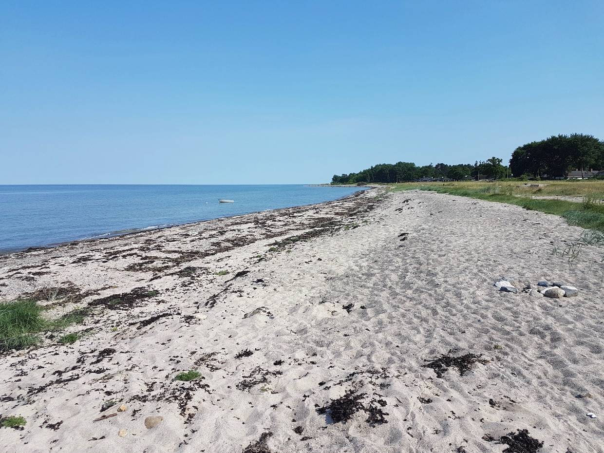 Blick über einen flachen, naturbelassenen Strand