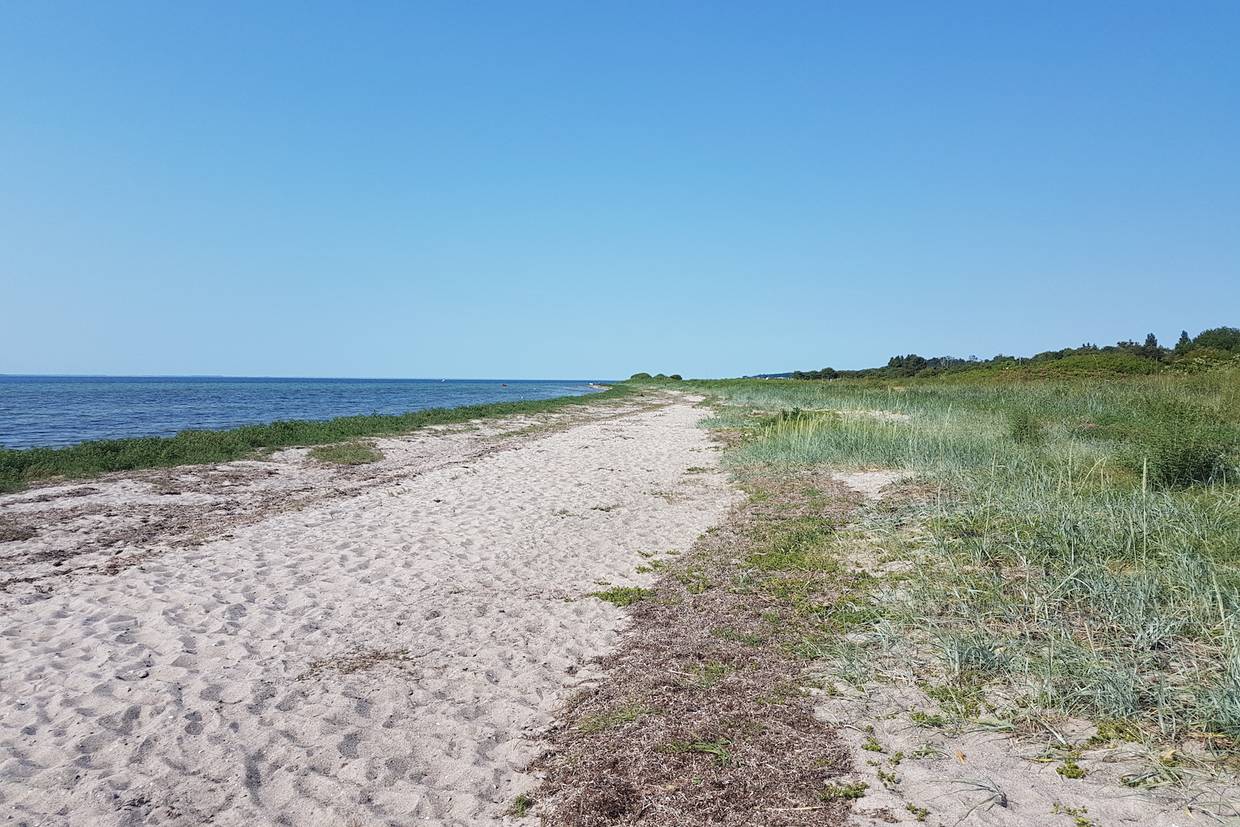 Foto von Stoense Strand