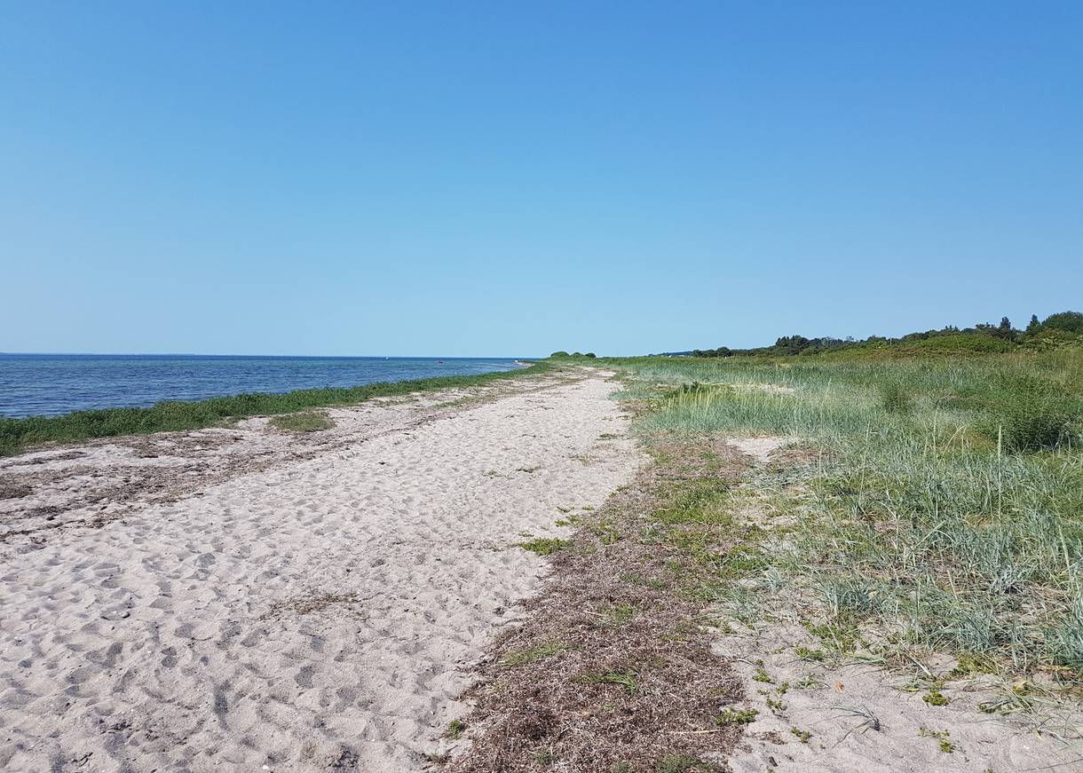 Schmaler Sandstrand mit viel Kraut und Seegrad