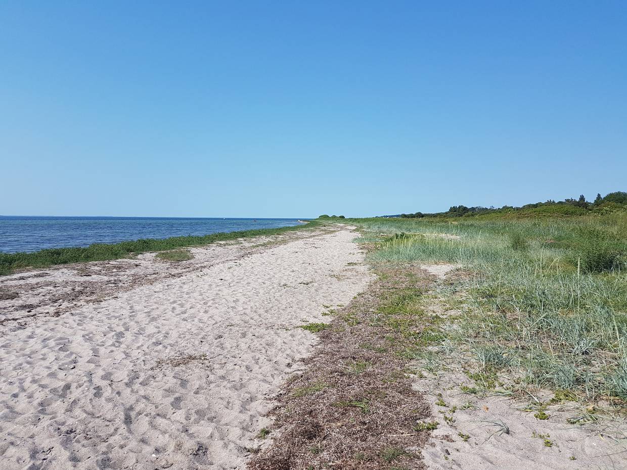 Schmaler Sandstrand mit viel Kraut und Seegrad